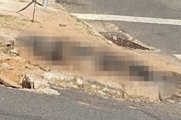 Homem é preso após atear fogo em cadela para atingir ex-companheira em Passos