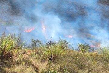 Incêndio em vegetação ameaça veículos e mobiliza força-tarefa dos bombeiros em João Monlevade