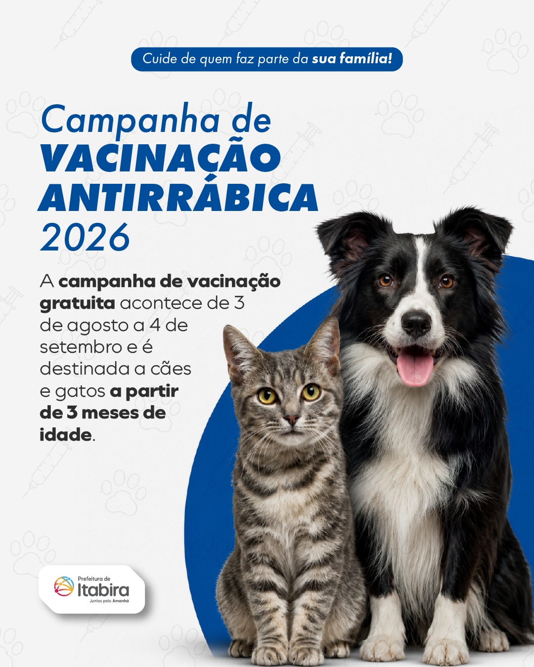 Itabira inicia campanha de vacinação antirrábica para cães e gatos na próxima semana; saiba mais