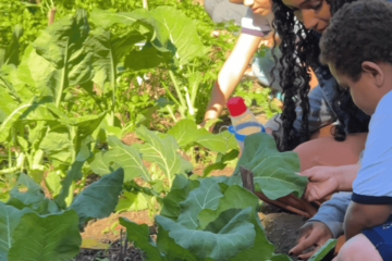 Projeto Mãos à Horta incentiva compostagem e produção de alimentos nas escolas de Itabira