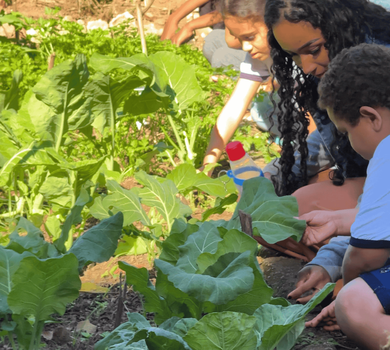 Projeto Mãos à Horta incentiva compostagem e produção de alimentos nas escolas de Itabira
