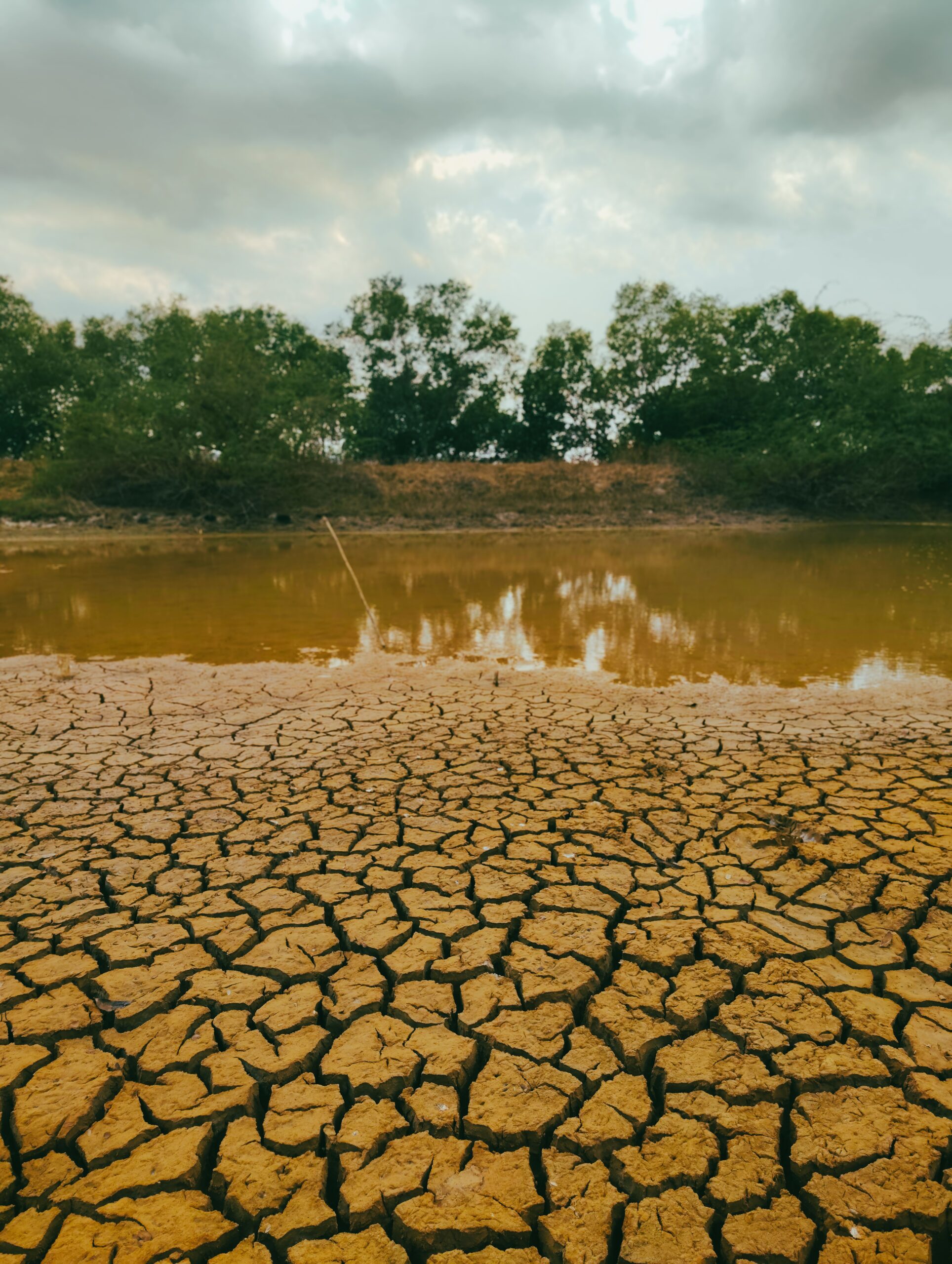 Super El Niño matou 50 milhões de pessoas no mundo entre 1876 e 1878