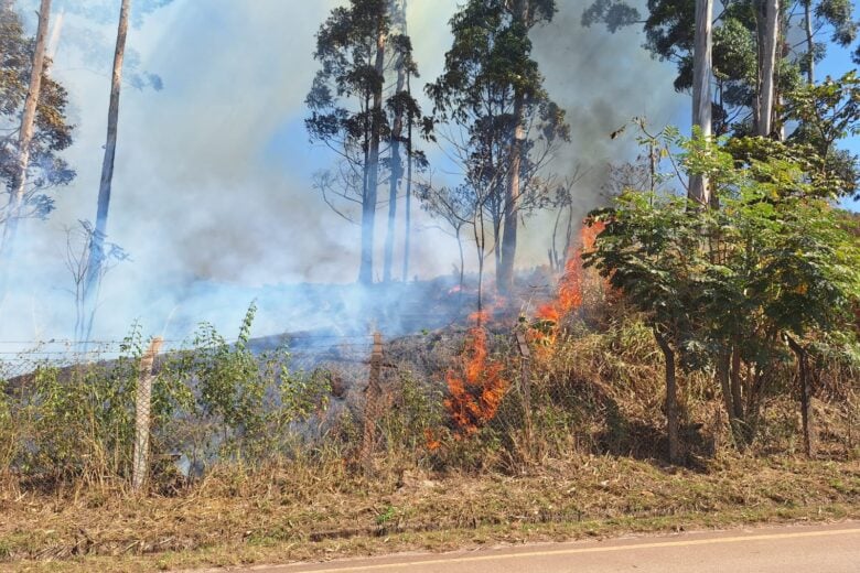Incêndio em área da Vale interdita trecho da 105 e mobiliza equipes em Itabira