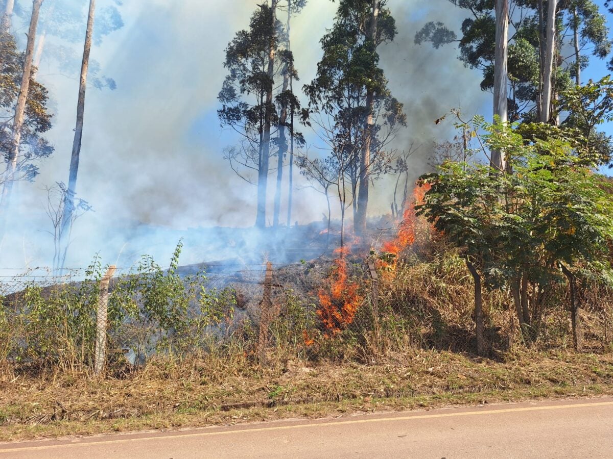 Incêndio em área da Vale interdita trecho da 105 e mobiliza equipes em Itabira
