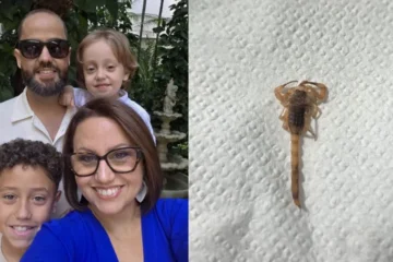 Família decide sair de casa após encontrar 10 escorpiões dentro do imóvel