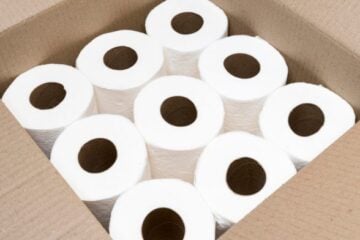 Camareira perde indenização milionária após furtar 6 rolos de papel higiênico em hotel