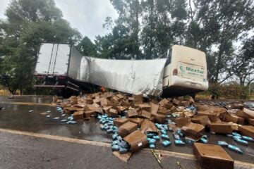 Colisão entre ônibus e caminhão deixa uma pessoa morta e oito feridas na BR-040