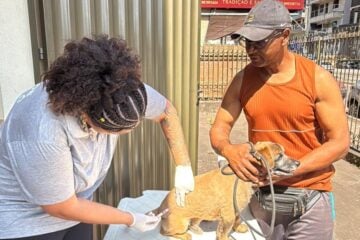 João Monlevade:  quase 8.500 cães e gatos foram vacinados durante a Campanha de Vacinação Antirrábica