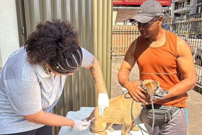João Monlevade:  quase 8.500 cães e gatos foram vacinados durante a Campanha de Vacinação Antirrábica