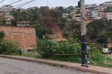Bombeiros isolam área com colmeia de abelhas em poste no bairro Pedreira do Instituto, em Itabira