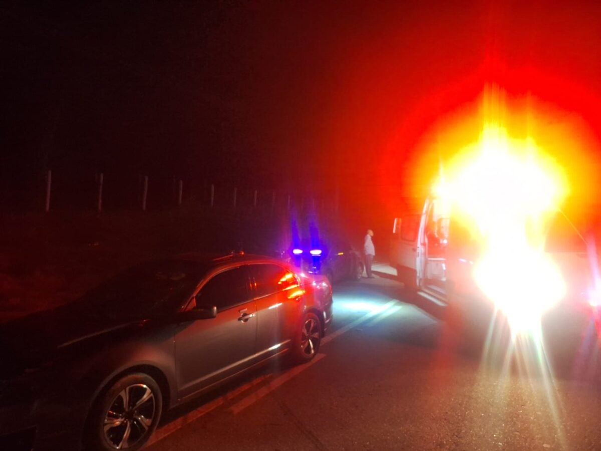 Cavalo morre após ser atingido e provocar acidente com dois carros na avenida Li Guerra, em Itabira