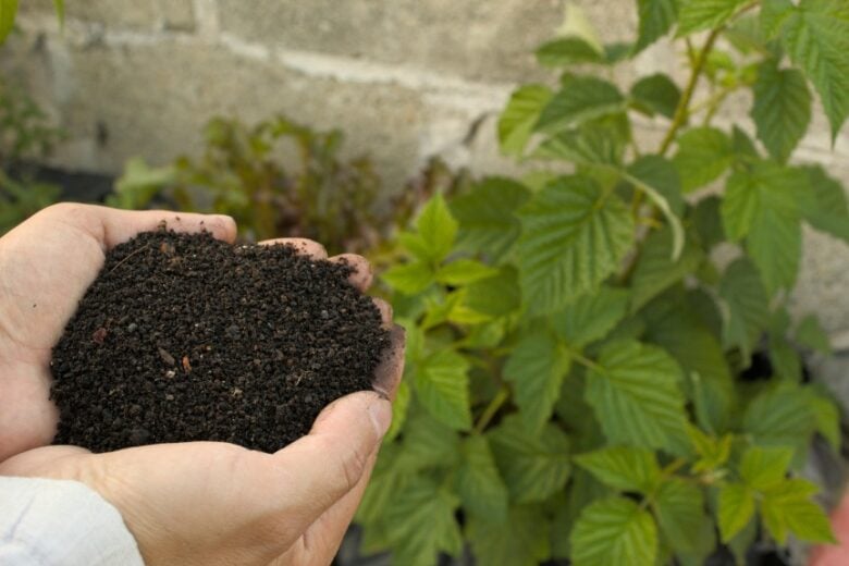 Compra coletiva de adubo busca reduzir custos para produtores rurais de Itabira