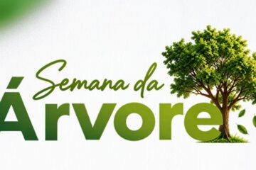 Semana da Árvore terá 26 atividades gratuitas em nove dias em Itabira