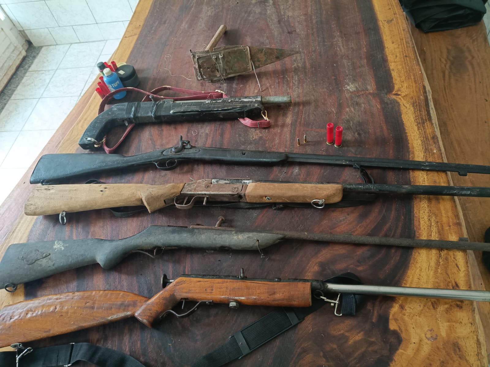 Seis armas e munições são apreendidas durante operação em Senhora do Porto