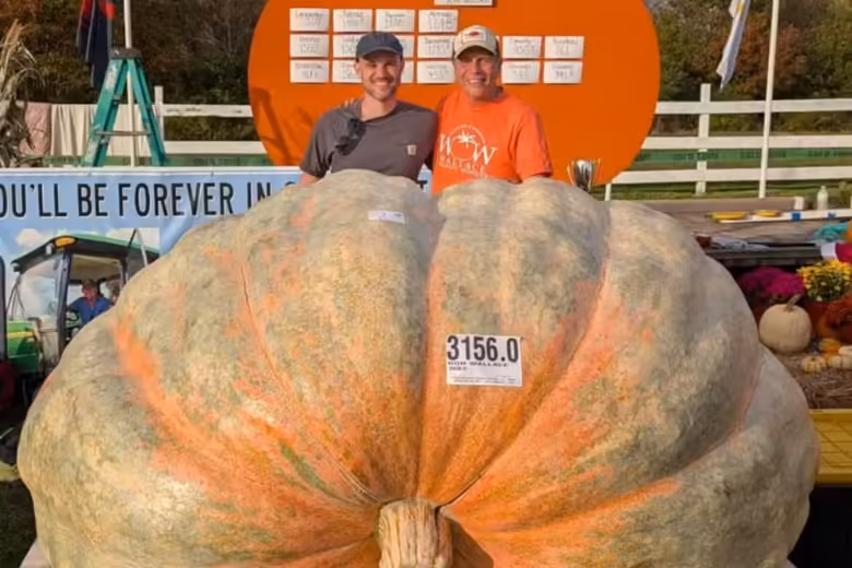 Abóbora gigante de quase 1.500 kg é colhida nos EUA e pode bater o recorde mundial