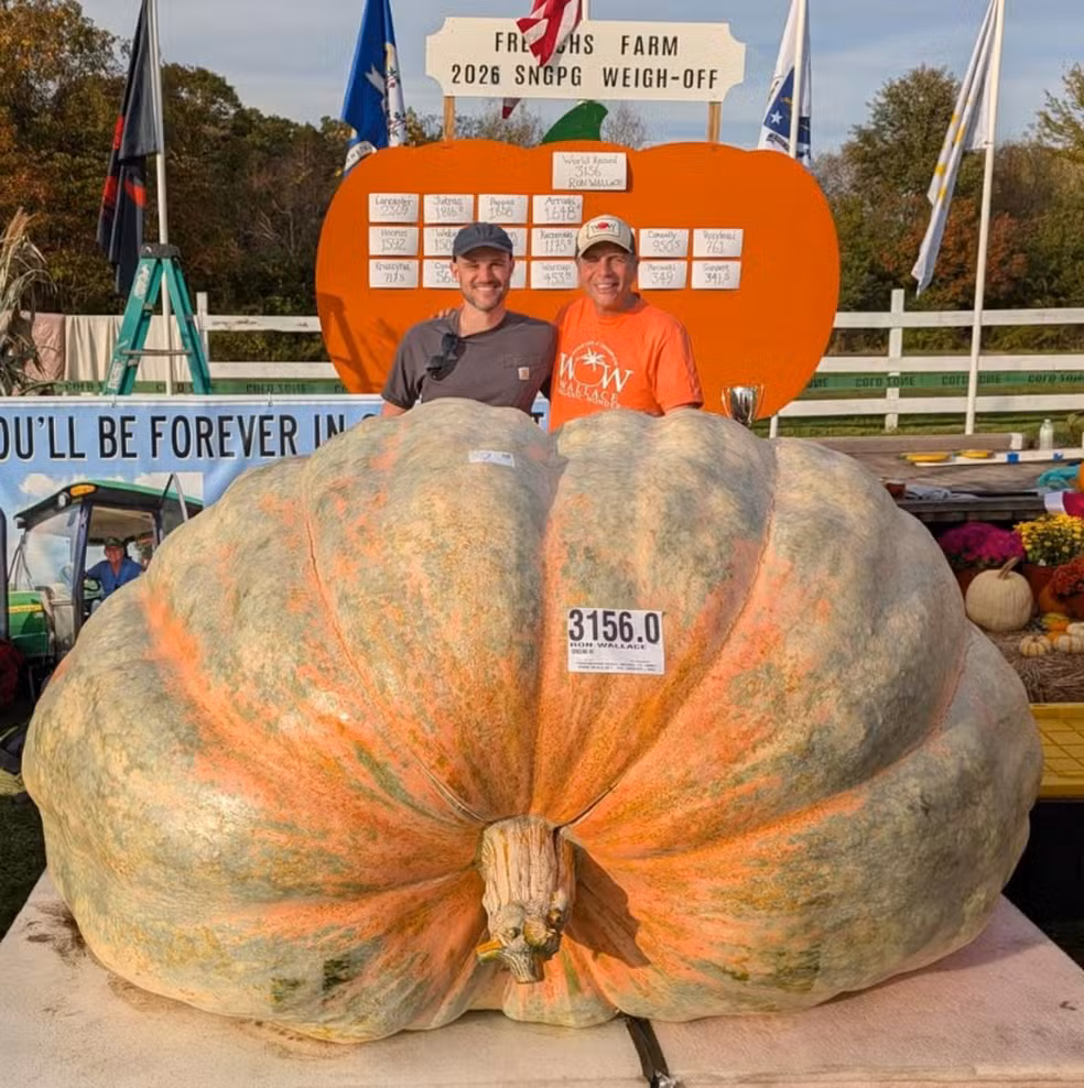 Abóbora gigante de quase 1.500 kg é colhida nos EUA e pode bater o recorde mundial
