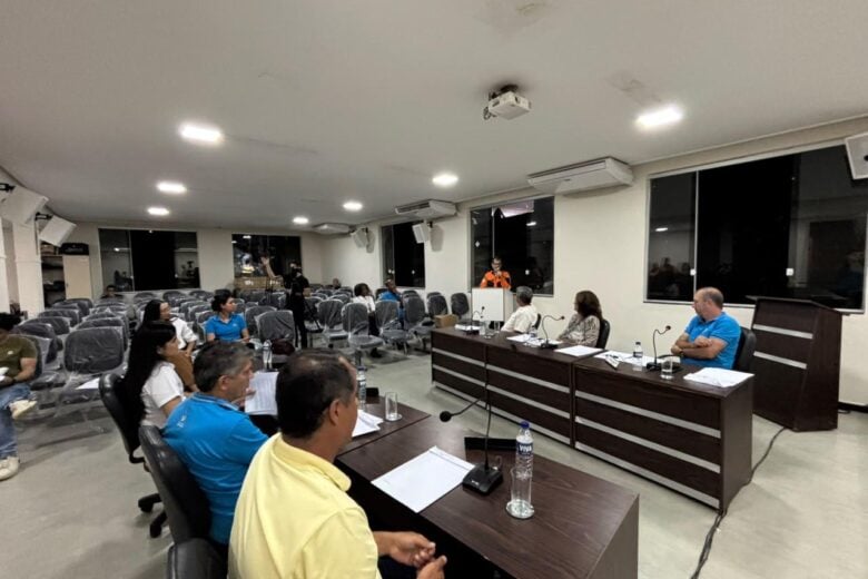 Rio Piracicaba: Câmara aprova lei que obriga empresas a limpar e organizar  postes