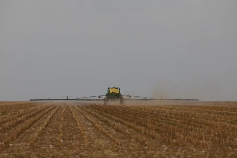 Produção brasileira de grãos deve aumentar apesar do El Niño
