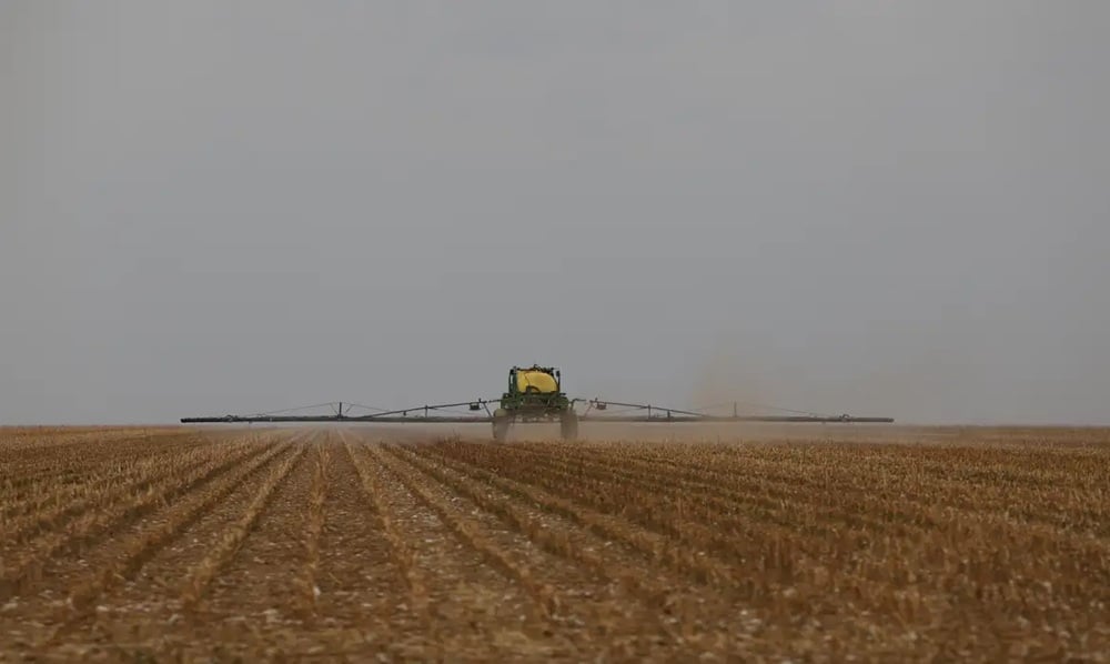Produção brasileira de grãos deve aumentar apesar do El Niño