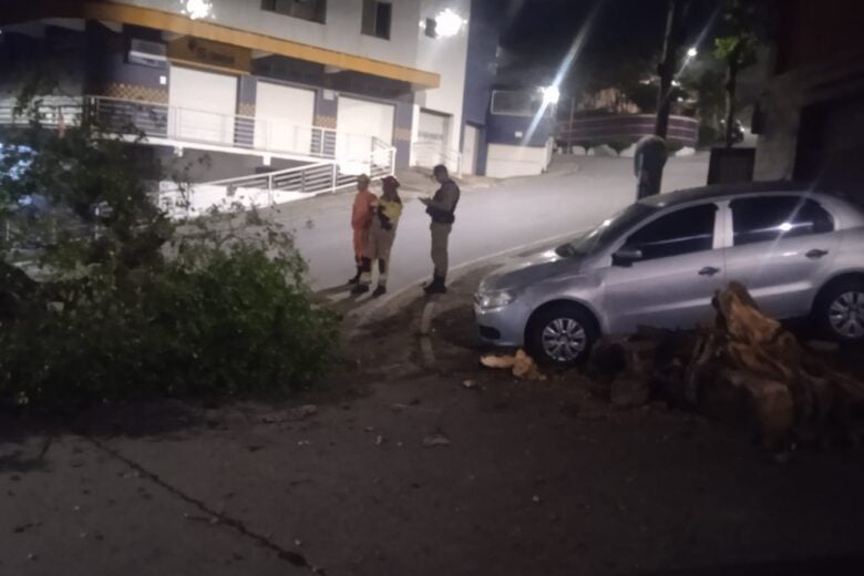 Condutora sem habilitação perde controle de carro elétrico, arranca árvore e atinge dois veículos em Itabira