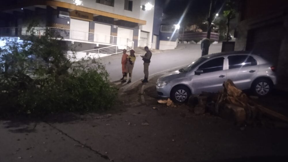 Condutora sem habilitação perde controle de carro elétrico, arranca árvore e atinge dois veículos em Itabira