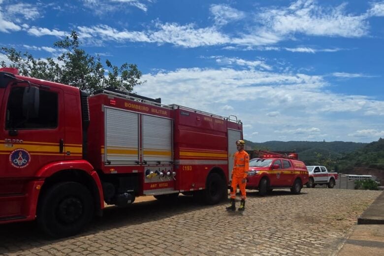 Enxame de abelhas ataca três pessoas durante busca por drone em área de mata, em Alvinópolis