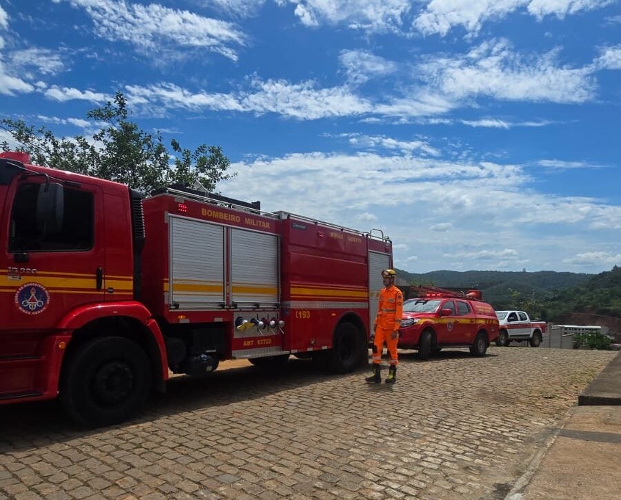Enxame de abelhas ataca três pessoas durante busca por drone em área de mata, em Alvinópolis