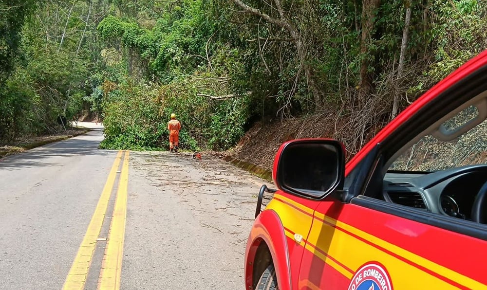 Bombeiros cortam cinco árvores para liberar a Estrada do Forninho, entre Itabira e João Monlevade