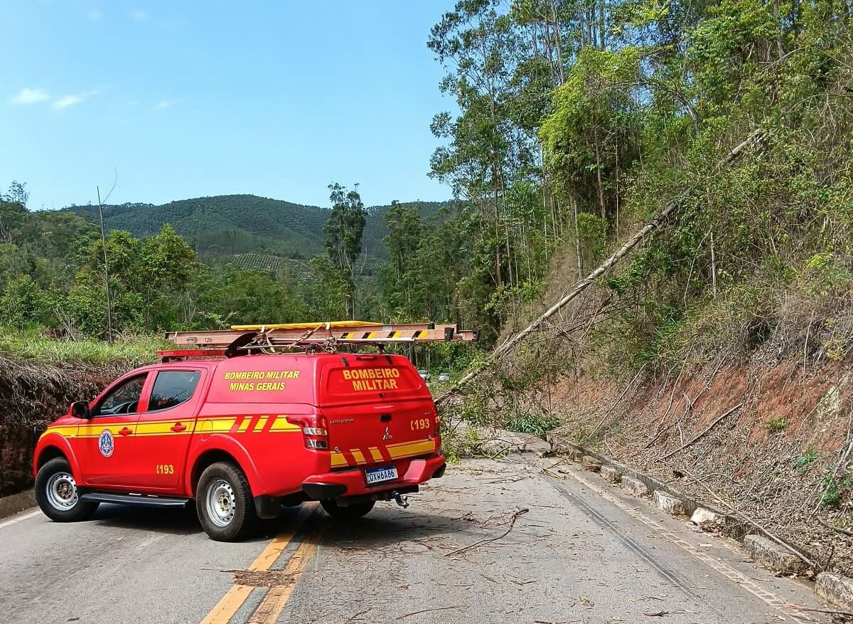 Bombeiros cortam cinco árvores para liberar a Estrada do Forninho, entre Itabira e João Monlevade