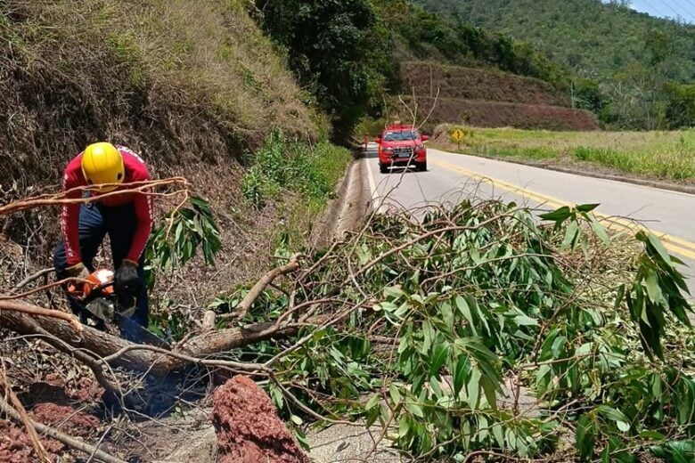 Bombeiros cortam cinco árvores para liberar a Estrada do Forninho, entre Itabira e João Monlevade
