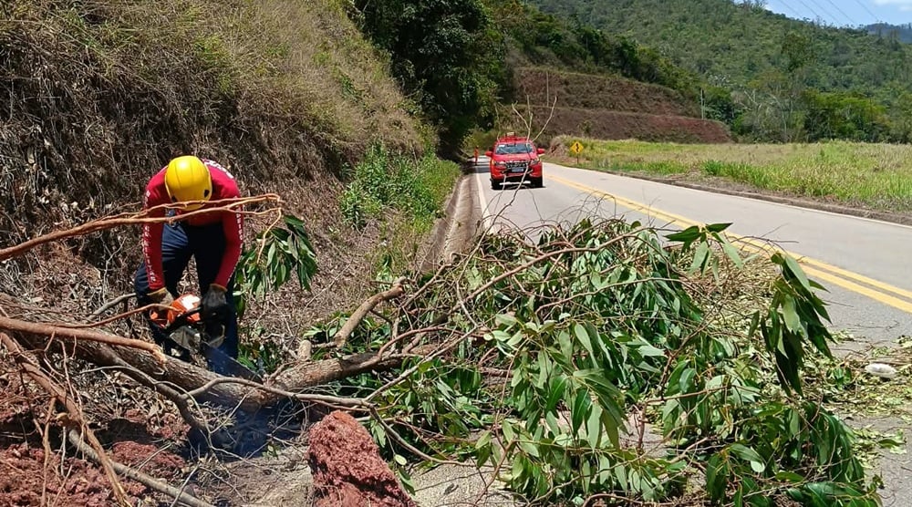 Bombeiros cortam cinco árvores para liberar a Estrada do Forninho, entre Itabira e João Monlevade