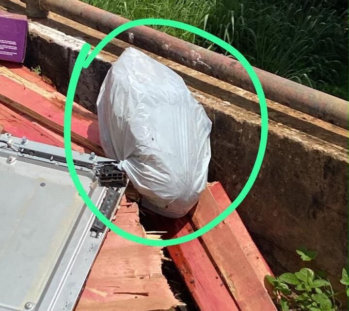 Moradora denuncia suspeita de envenenamento após mortes de cães e gatos no bairro Santa Ruth, em Itabira