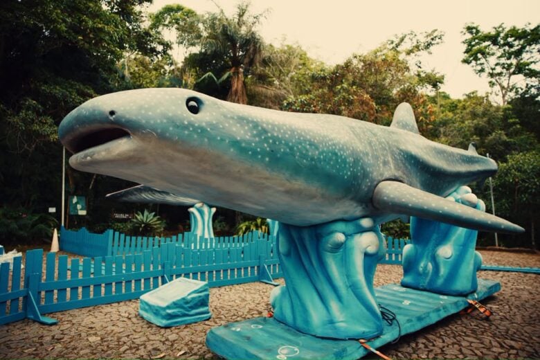 Prefeitura de Itabira promove exposição gratuita “O Fantástico Mundo Marinho” até novembro