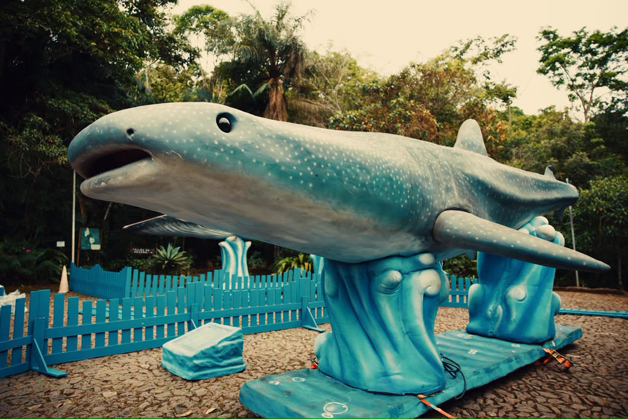 Prefeitura de Itabira promove exposição gratuita “O Fantástico Mundo Marinho” até novembro