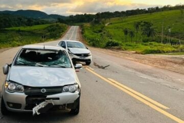 Gado na pista provoca colisão entre dois carros na MG-434, em São Gonçalo do Rio Abaixo