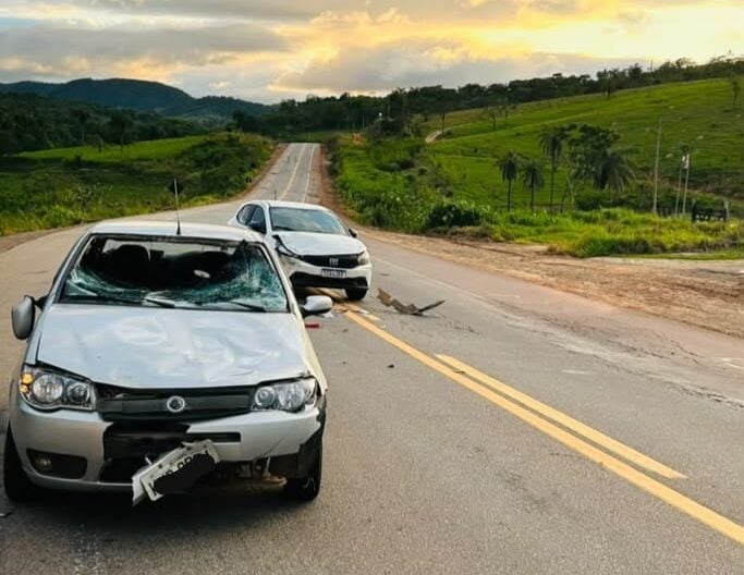 Gado na pista provoca colisão entre dois carros na MG-434, em São Gonçalo do Rio Abaixo