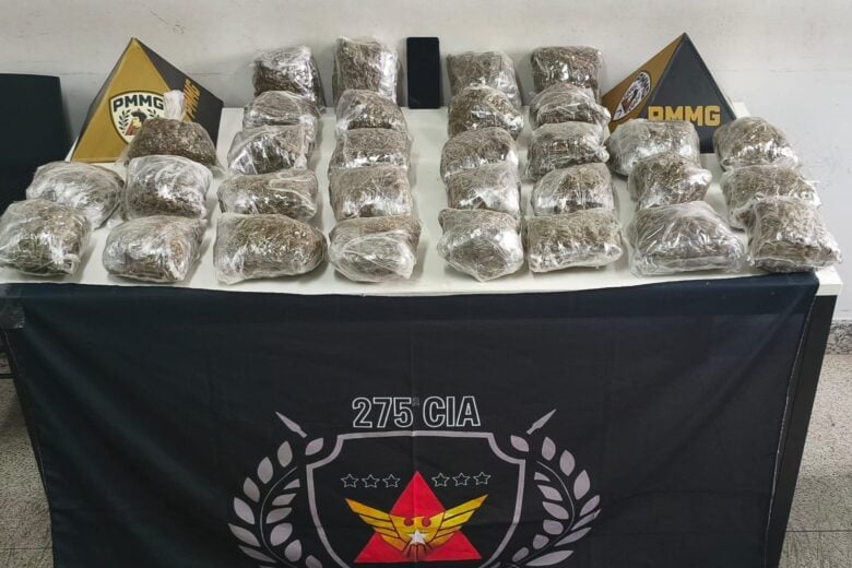 Mulher é presa em Coronel Fabriciano com 31 pacotes de “skunk” avaliados em R$ 155 mil