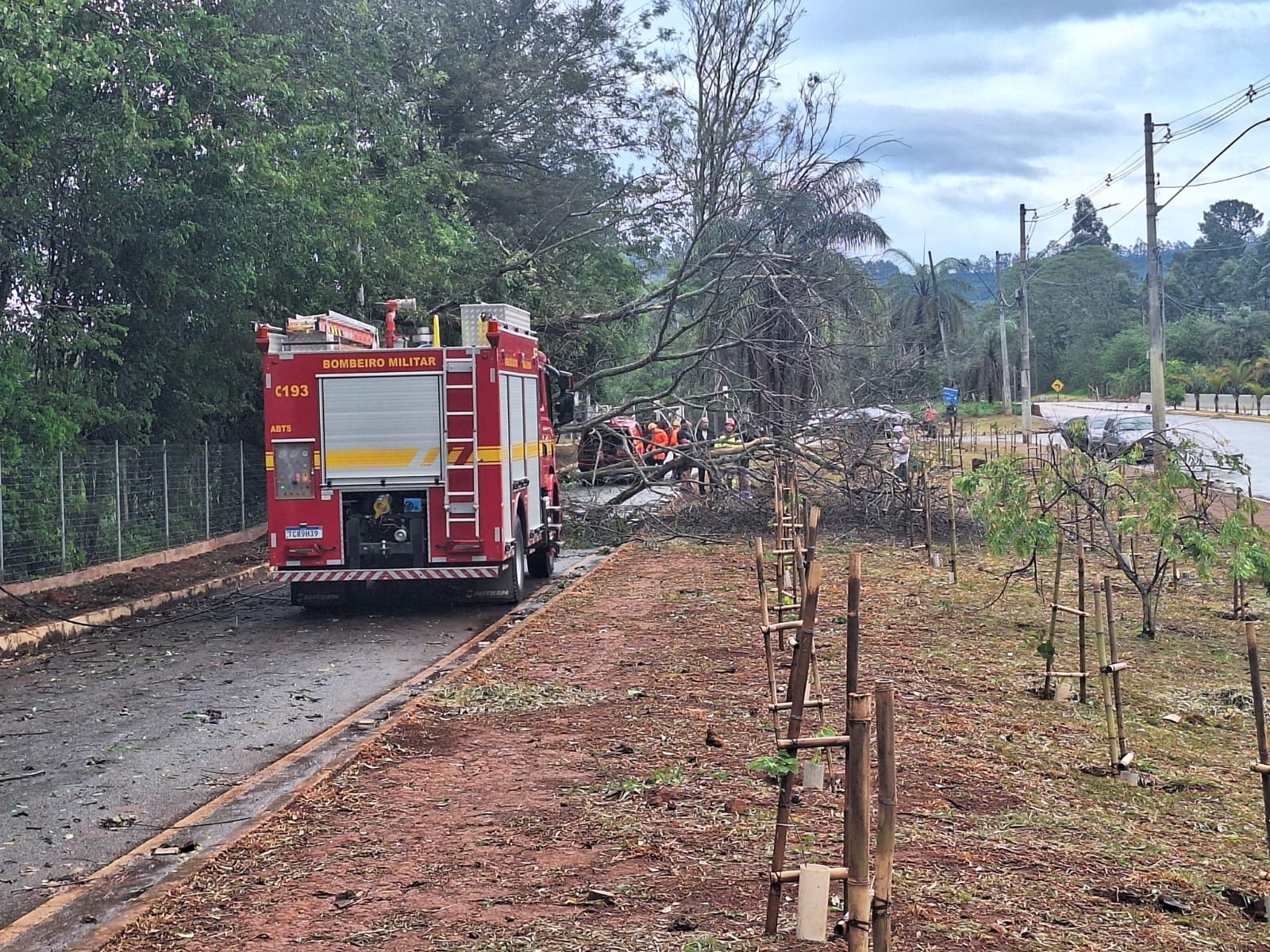 Árvore cai sobre carro de eleitora durante chuva nas proximidades da Funcesi, em Itabira