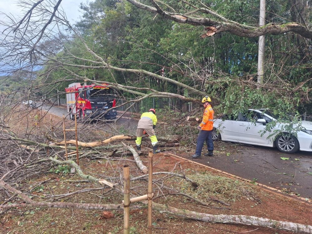 Árvore cai sobre carro de eleitora durante chuva nas proximidades da Funcesi, em Itabira