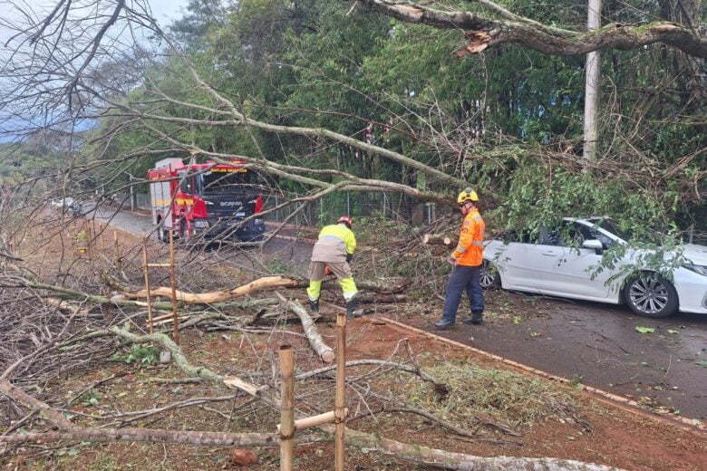 Chuvas e ventos fortes provocam ocorrências e mobilizam equipes em Itabira
